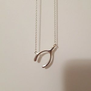 925 Silver Lucky Wishbone Necklace